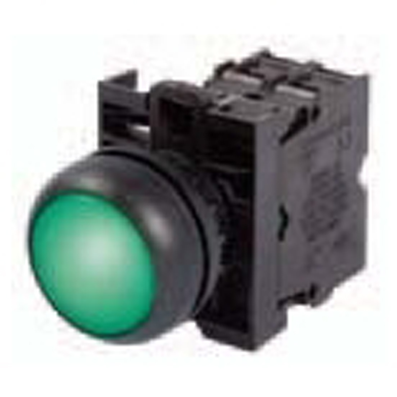 Green LED Electrical Interlock Light Assembly, Black Bezel, 24 Volt